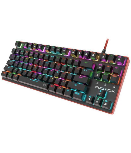 Amkette EvoFox Katana Pro ( Wired ) Efficient design, All 87 Anti Ghosting Keys