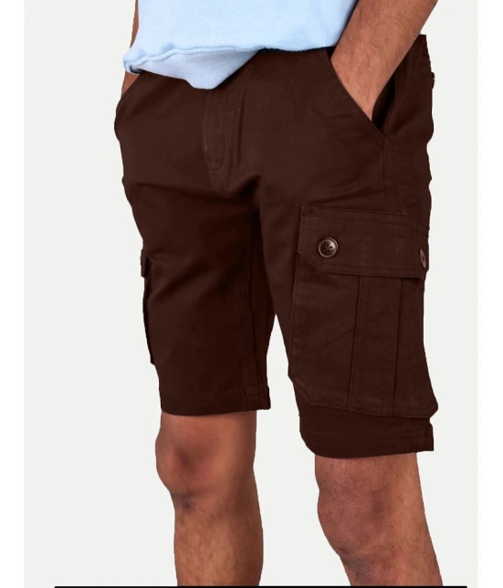 Radprix Brown Cotton Mens Cargos ( Pack of 1 ) - None