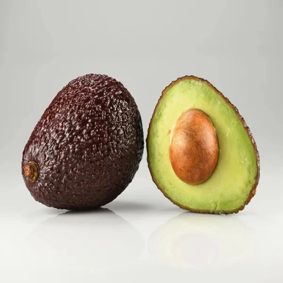 Exotic Grafted Avocado Fruit Plant