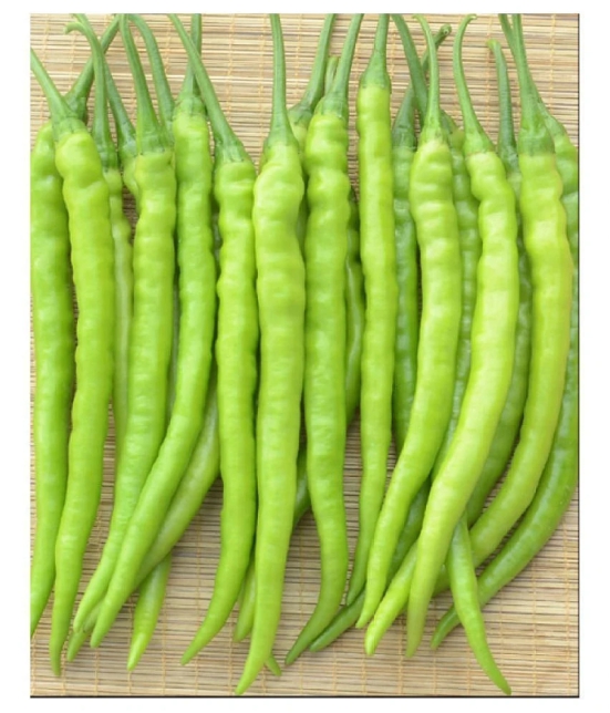 High yielding chilli F1 hybrid Green Chilli | Pack of 50 seeds