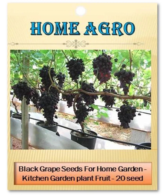 homeagro - Fruit Seeds ( 20 seeds )