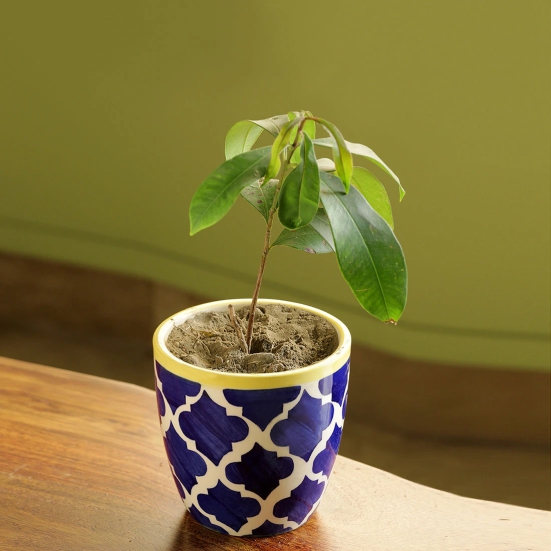 The Morocco Pod Handpainted Ceramic Planter