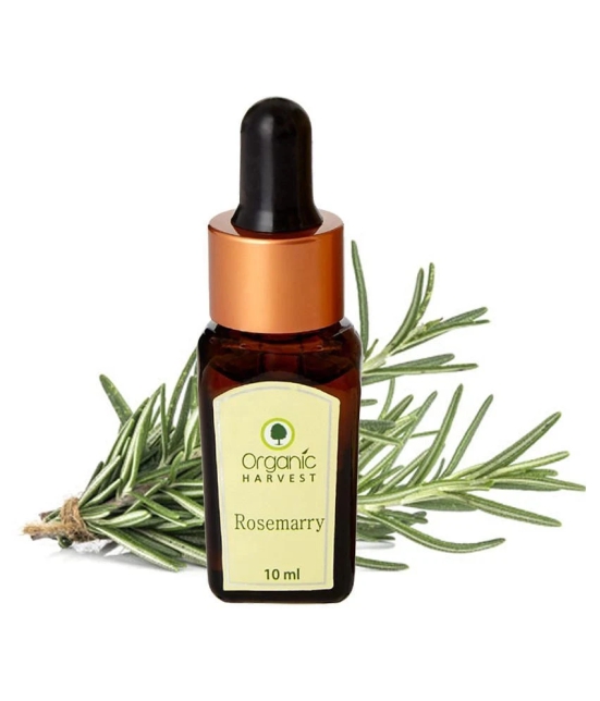 Organic Harvest Rosemary Essential Oil - 10ml