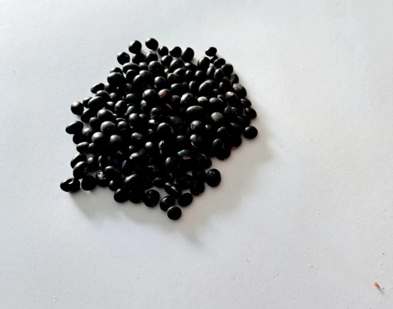 Black soyabean