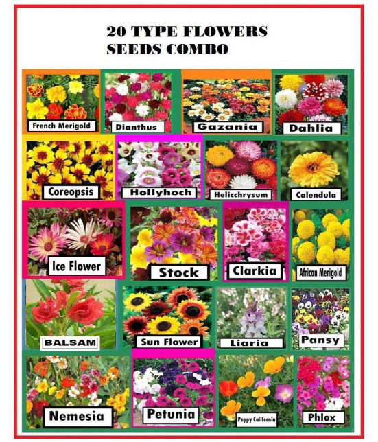 20 different  type flower seed combo pack 300 + seeds  with free  cocopeat and user manual