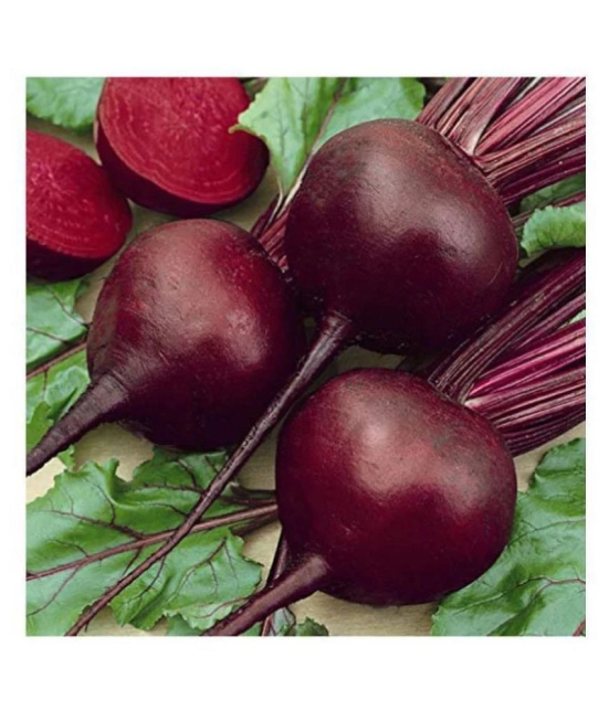 Beetroot Microgreens Organic Vegetable Seeds ( 50 Seeds per packet)