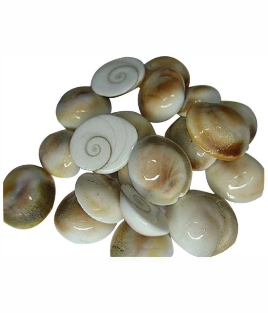 SwadesiBuyzzar - Marble Kowdi (Pack of 10)