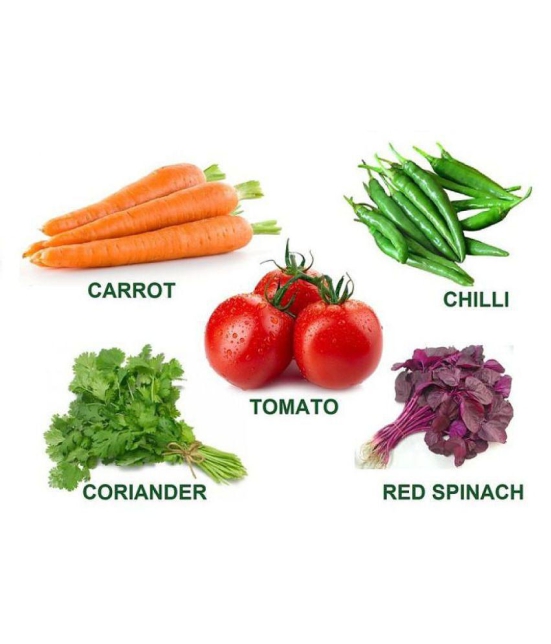 five veg combo (tomato,chiili,carrot,spinach,lady finger) 15 -15 seeds of each 1 oal 75 seeds combo with manual