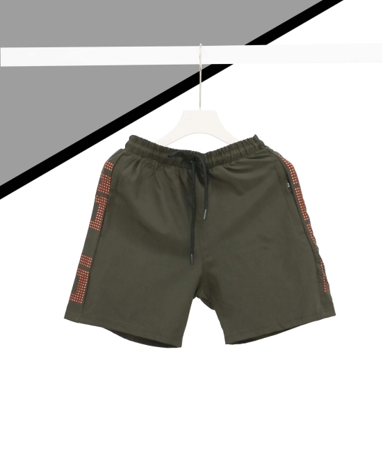 Mens Solid Brown Regular Fit Shorts-L