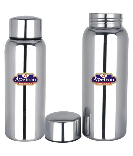 APEIRON Silver 500 mL Water Bottle set of 2 - Silver