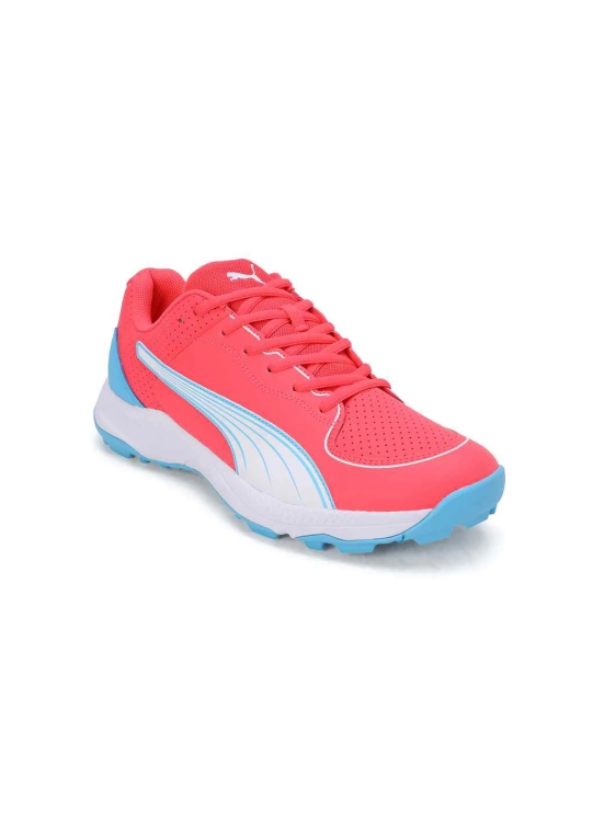 PUMA 24 FH Rubber Unisex Cricket Shoes