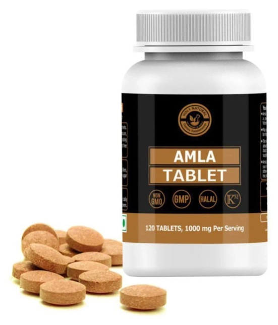 Holy Natural Amla Tablet - 120 no.s Vitamins Tablets