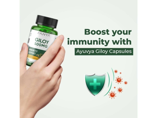 Ayuvya Giloy Capsules || 500mg Pure Guduchi Powder & Extract - Immunity Booster & Liver Support Supplement, 60 Capsules