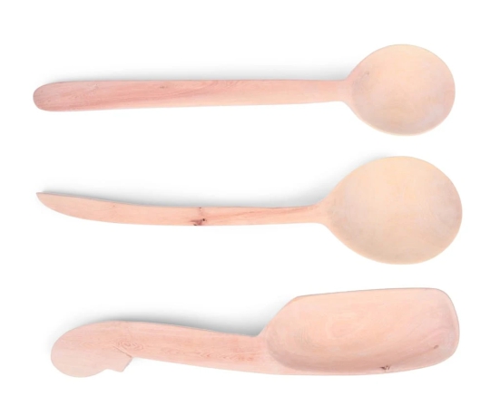 Curry Spoons set