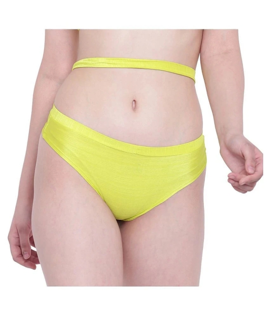 La Intimo Polyester Briefs - L