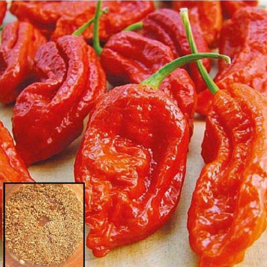 homeagro - Chilli Vegetable ( 50 Seeds )