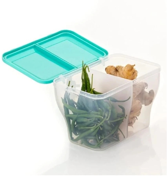 HOMETALES Dal/Masala/Vegetable Plastic Sea Green Multi-Purpose Container ( Set of 1 ) - Sea Green