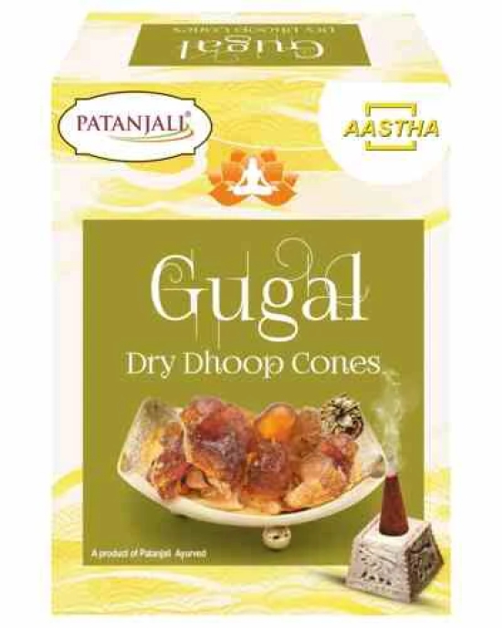 AASTHA GUGAL DRY DHOOP CONE - 20 GM