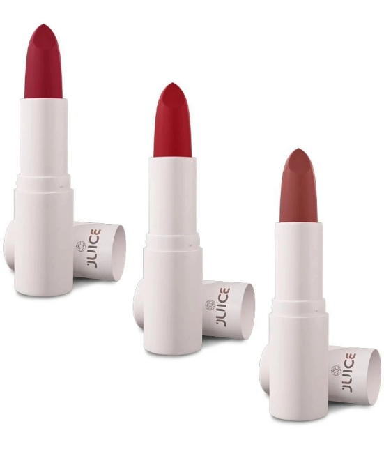 Juice Multi Matte Lipstick 300