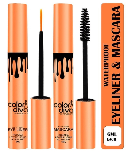 COLOR DIVA Waterproof & Long Lasting Eyeliner & Mascara, Black, 6ml, (EM102)