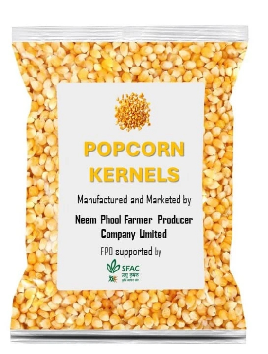 Maize | Popping Kernels