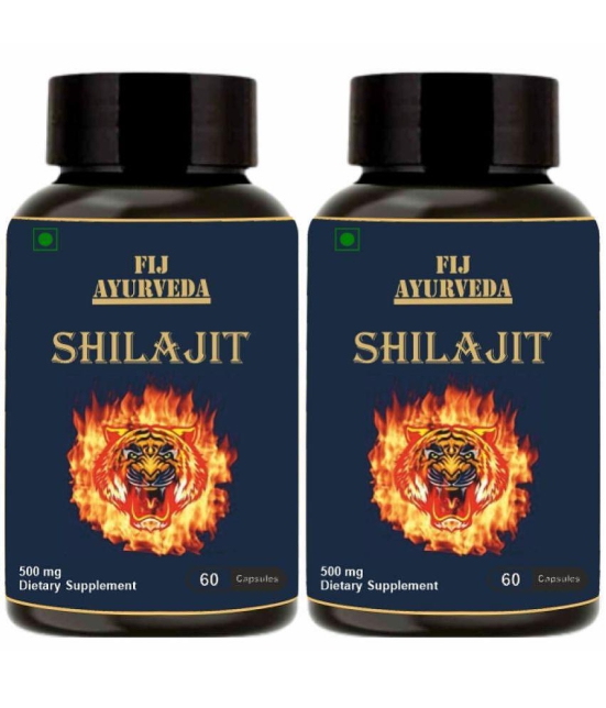 FIJ AYURVEDA Shilajit  Capsule Supports Vigor & Vitality - 500mg 60 Capsules (Pack of 2)