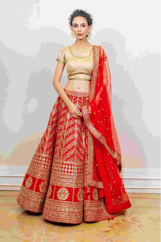 Designer Lehenga-L