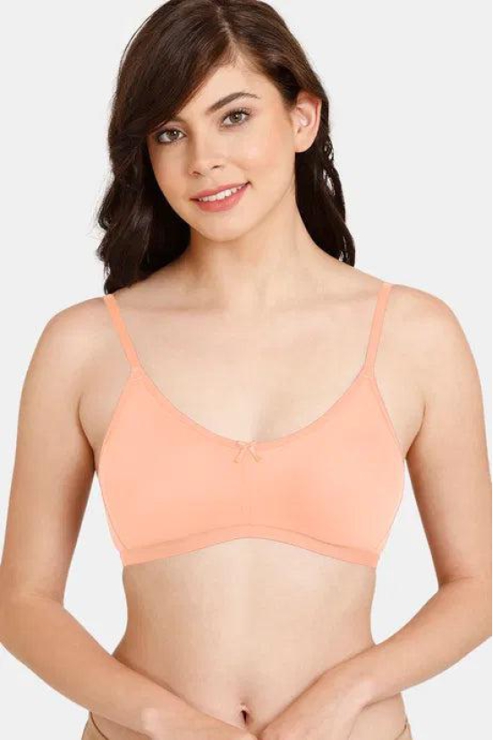 Zivame Rosaline Everyday Anti-Microbial Double Layered Non Wired 3/4th Coverage T-Shirt Bra ZI1885-36C / Peach Pearl