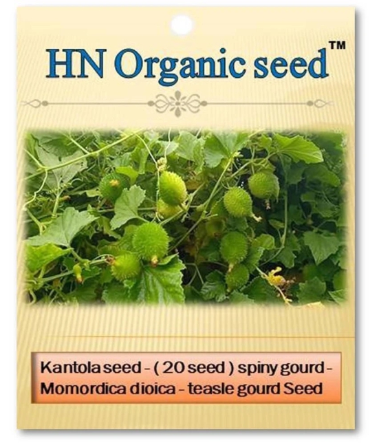 homeagro - Vegetable Seeds ( Kantola - spiny gourd - 20 seed )