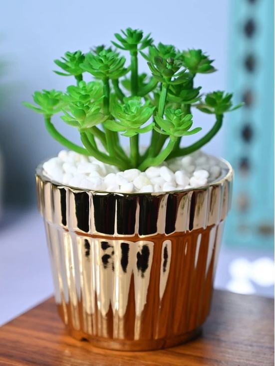 Golden Stripes - Artificial Plant with Glossy Ceramic Pot