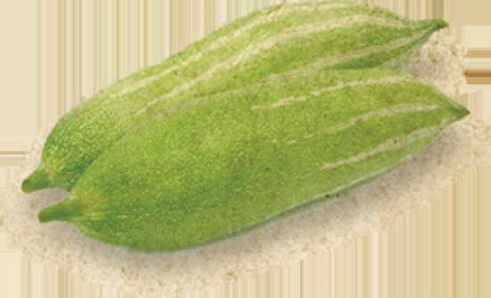 Snake Gourd 500 gms