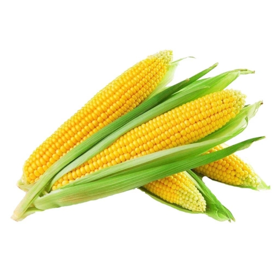 Corn And Peas Sweet Corn, 1 Kg