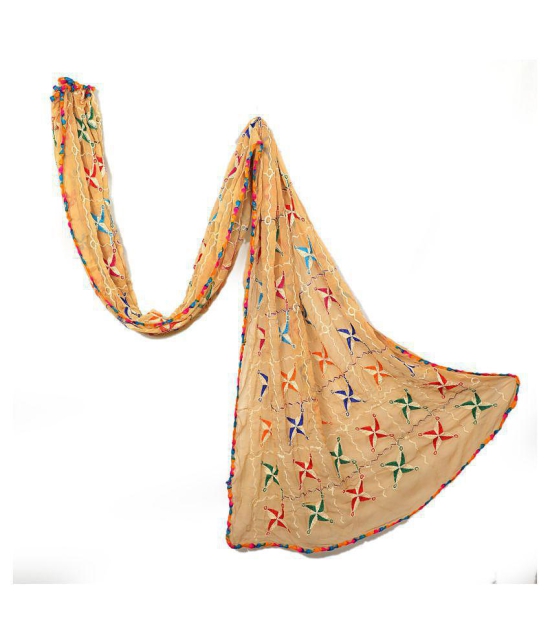 Raj Beige Chiffon Dupatta - Single