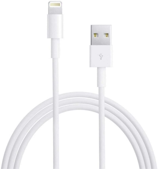 Lapster Fast Iphone Charger Cable & Data Sync USB Cable - 1 Piece