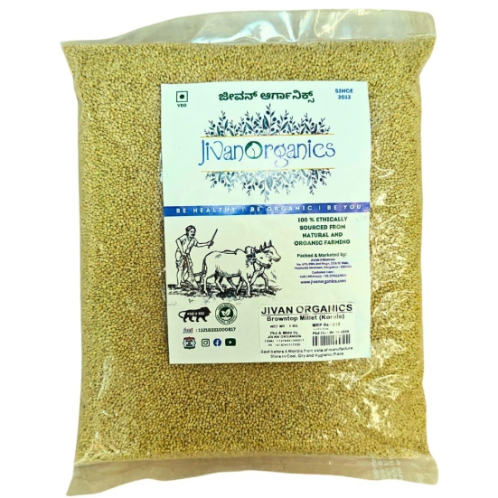 Jivan Organics | Browntop Millet | 1KG