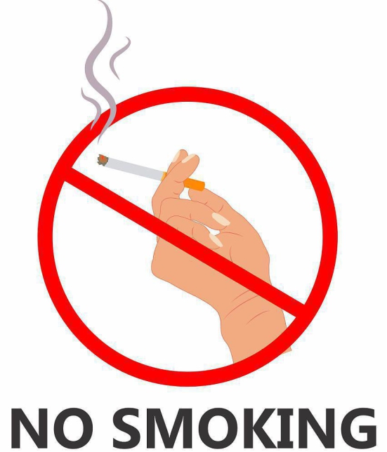 Asmi Collection Self Adhesive Wall Stickers No Smoking Sign Wall Sticker ( 30 x 25 cms )