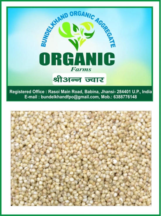 Organic Millets Jwar