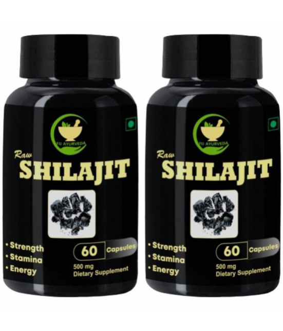 FIJ AYURVEDA Raw Shilajit Capsule for Stamina and Power, 60 Capsules Each (Pack of 2)