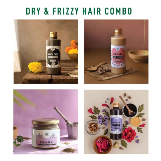 Amrutam Dry And Frizzy Hair Combo