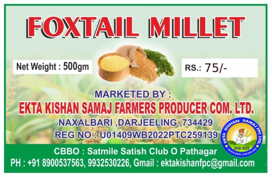 FOXTAIL MILLET (PACK OF 2)