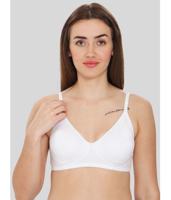 ILRASO - White Cotton Non Padded Women's T-Shirt Bra ( Pack of 1 ) - None