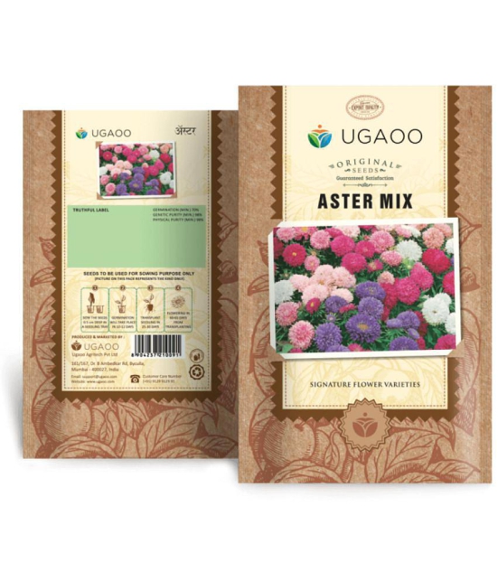 Ugaoo Aster Mix Flower Seeds (Purple, Pack of 200)