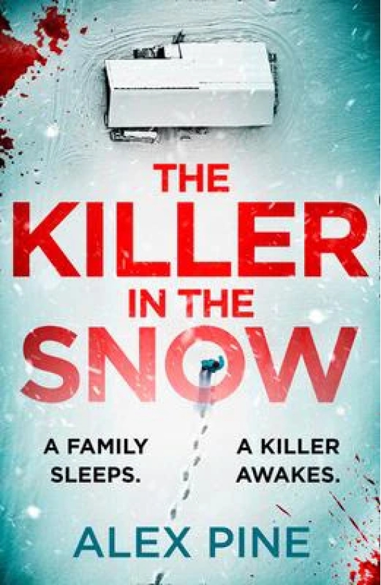 The Killer in the Snow (DI James Walker, #2)