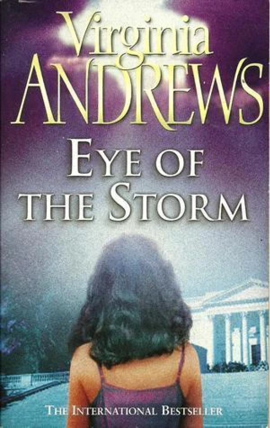 Eye of the Storm (Hudson, #3)