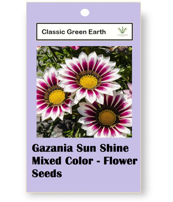 CLASSIC GREEN EARTH - Flower Seeds ( Gazania Star Light Dwarf 30 Seeds )