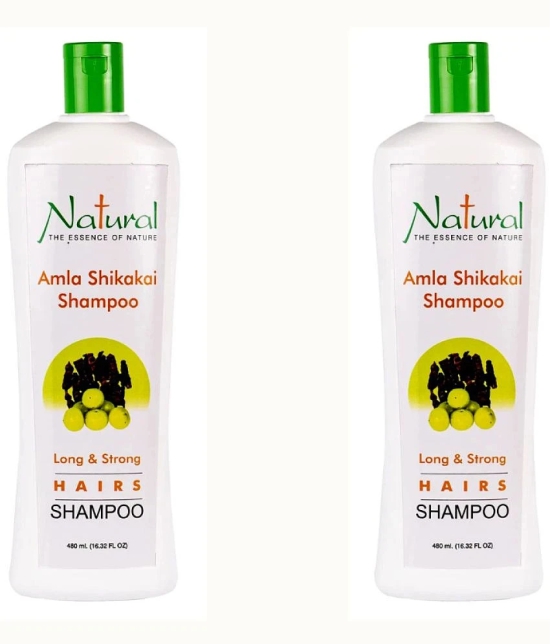 NATURAL THE ESSENCE OF NATURE - Anti Dandruff Shampoo 2 mL ( Pack of 2 )