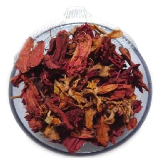 Gudhal Flower  / Jaswand Ful / ??????  ???  /  Hibiscus Rosa / Sinensis 100 Gms