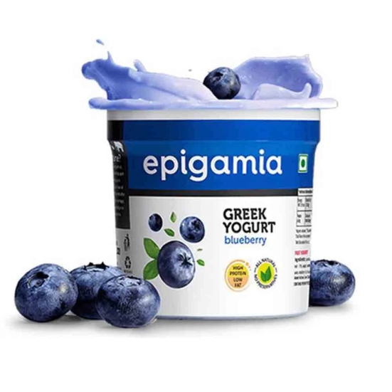 Epigamia Blueberry Yogurt, 90 Gm