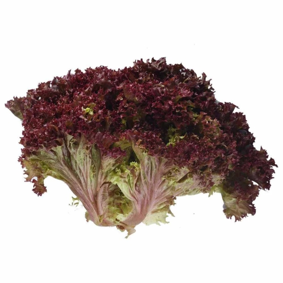 Salad Veggies Lettuce Lolorosa Red, 1 Kg