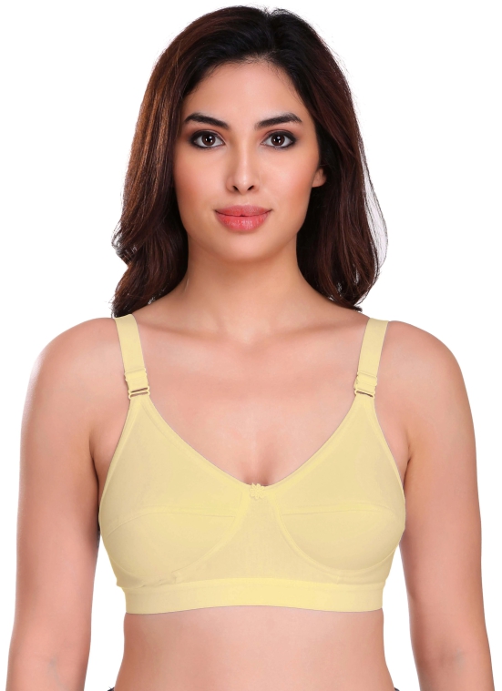 Eves Beauty Basic Bra Women Full Coverage Non Padded Bra-42D / Skin / Cotton Blend